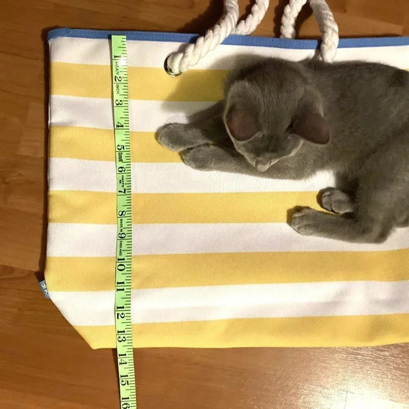 CLINIQUE Canvas Striped White, Yellow and Blue Beach Bag/Tote - Picture 8 of 11